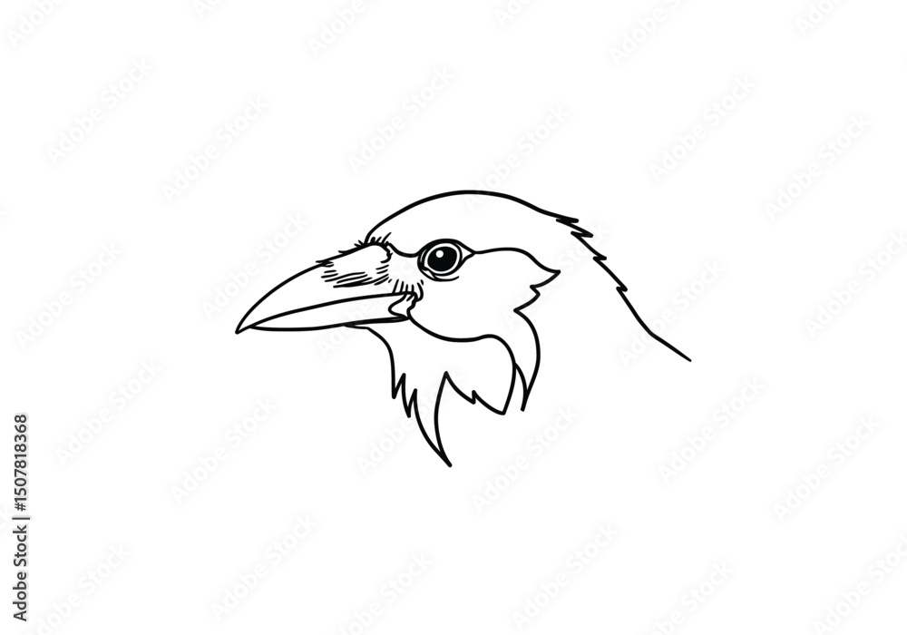 Fototapeta premium Crow head drawing. This black and white outline focuses on the detailed head of a crow or raven, highlighting its sharp beak and keen eye. Vector sketch line art draw.