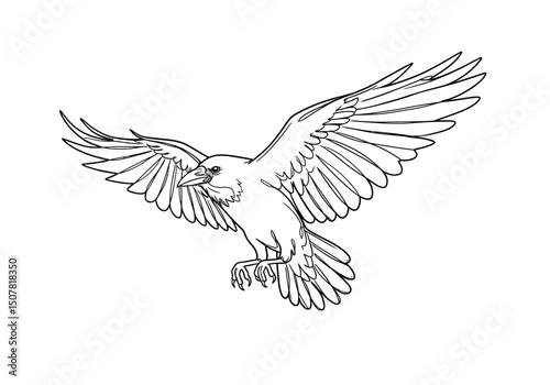 Crow flying drawing. This black and white outline depicts a crow or raven in mid-flight with wings spread, emphasizing its dynamic and graceful movement. Vector sketch line art draw.
