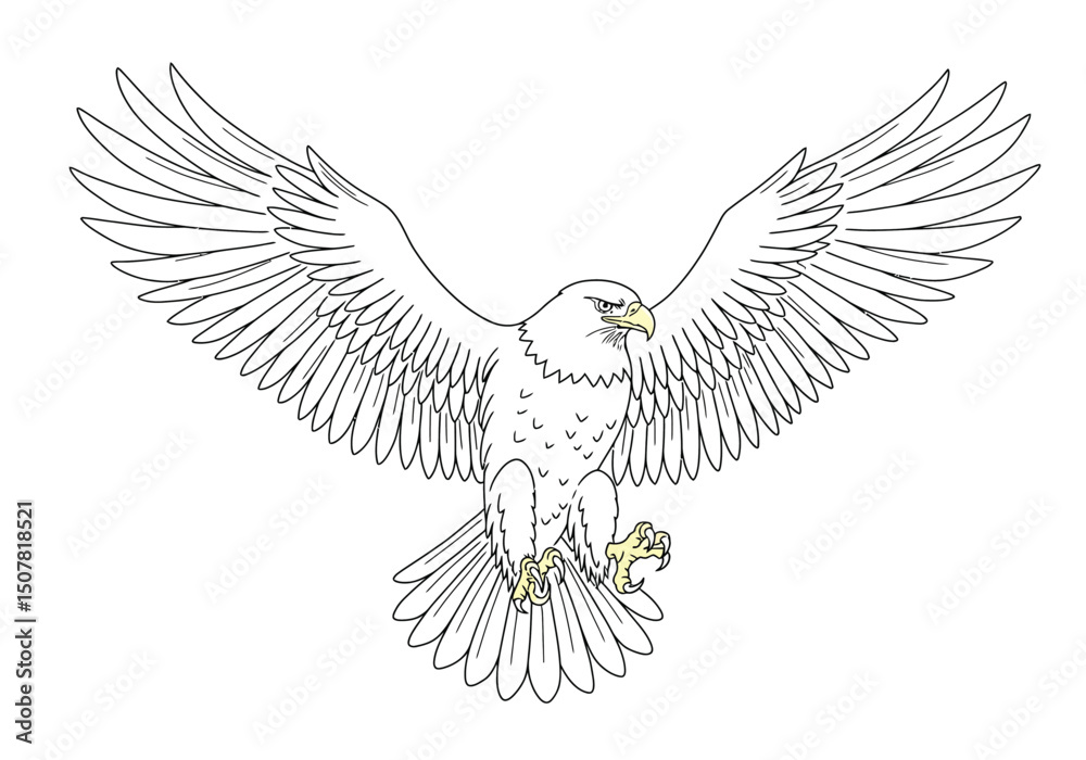 Fototapeta premium Eagle drawing. This black and white outline depicts a majestic eagle with its wings spread wide, capturing its powerful and predatory nature. Vector sketch line art draw.