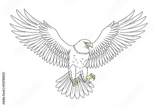 Eagle drawing. This black and white outline depicts a majestic eagle with its wings spread wide, capturing its powerful and predatory nature. Vector sketch line art draw.