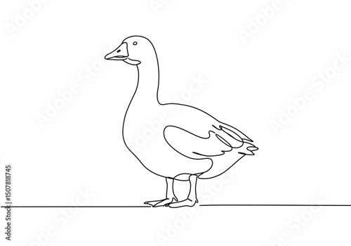 Geese drawing. This black and white outline depicts a goose, a common waterfowl often found in ponds and on farms. Vector sketch line art draw.