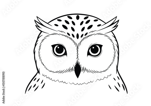 Owl face drawing. This black and white outline depicts the detailed face of an owl, possibly a snowy owl, known for its large, captivating eyes. Vector sketch line art draw.