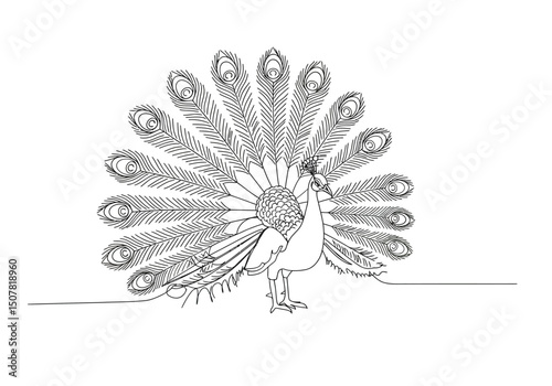 Peafowl drawing. This black and white outline features a peacock, a male peafowl, showcasing its elaborate tail feathers in a full display. Vector sketch line art draw.