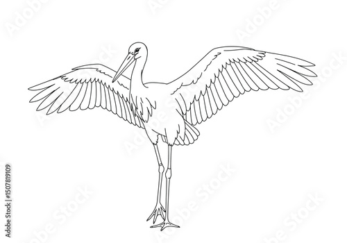 Stork drawing. This black and white outline features a stork, a large wading bird known for its long legs, neck, and powerful wings. Vector sketch line art draw.
