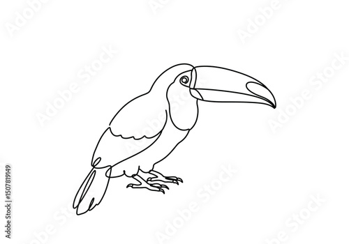 Toucan bird drawing. This black and white outline illustrates a toucan, a tropical bird recognized by its remarkably large and distinctive beak. Vector sketch line art draw.