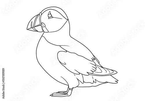 Atlantic puffin drawing. This black and white outline features an Atlantic puffin, a charming seabird known for its colorful beak and distinctive appearance. Vector sketch line art draw.