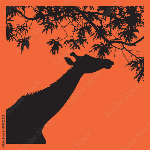 Giraffe silhouette eating leaves from tree branch