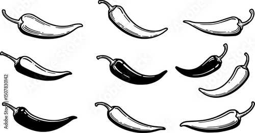 chili pepper line art, black outline, vector and illustration, coloring book page line art drawing
