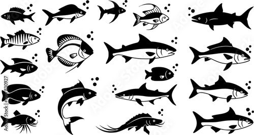 sardine fish line art, black outline, vector and illustration, coloring book page line art drawing
