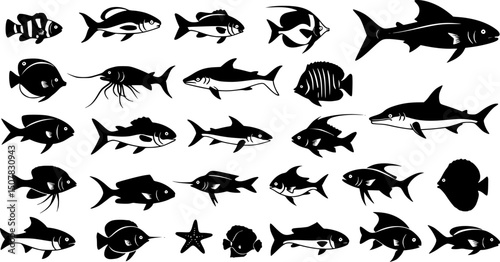 sardine fish line art, black outline, vector and illustration, coloring book page line art drawing
