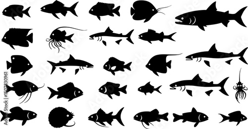 sardine fish line art, black outline, vector and illustration, coloring book page line art drawing
