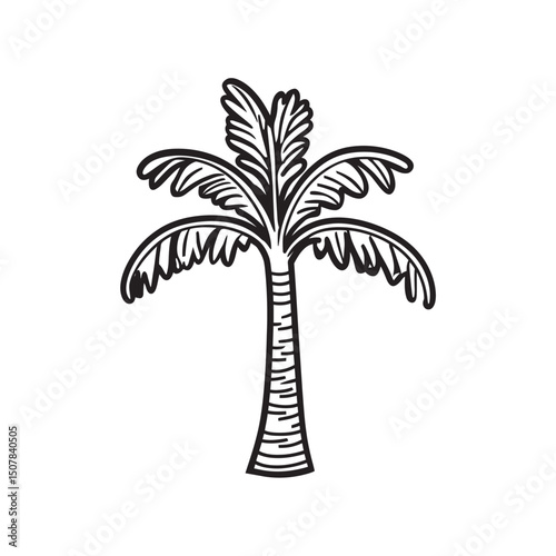 Single sketched palm tree with textured trunk and leaves stands alone on white