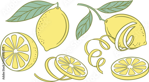 Zesty Lemons Fresh Citrus Illustrations for Recipes and Designs