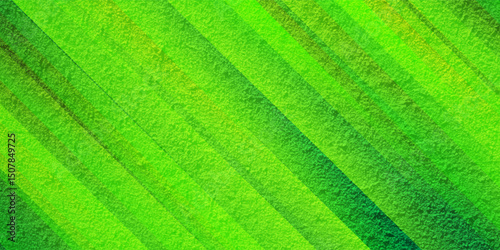abstract gradient green color texture noise background for poster banner