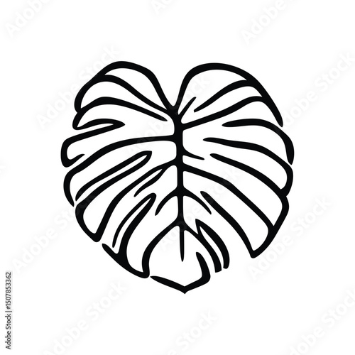 Stylized Monstera leaf displayed with bold, black outline showcasing its distinctive split pattern and transparent background