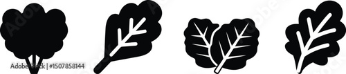 Vector Illustration Set of Collard Greens on White Background

