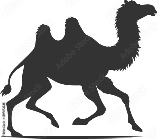 Vector black drawing of a camel animal silhouette