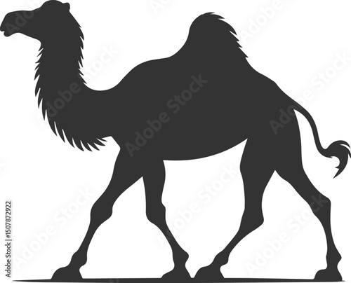 Vector black drawing of a camel animal silhouette