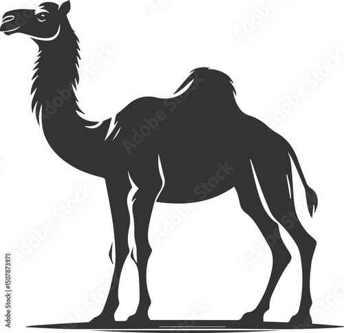 Vector black drawing of a camel animal silhouette