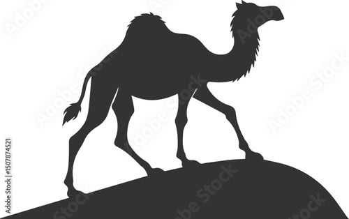 Vector black drawing of a camel animal silhouette