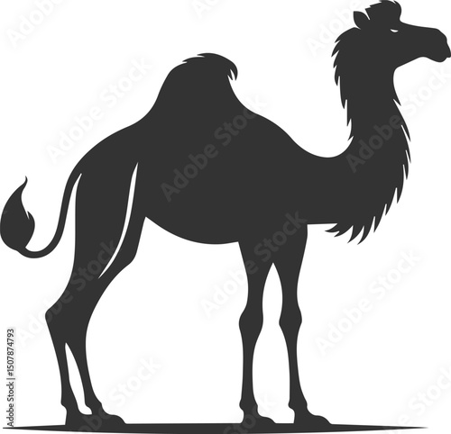 Vector black drawing of a camel animal silhouette