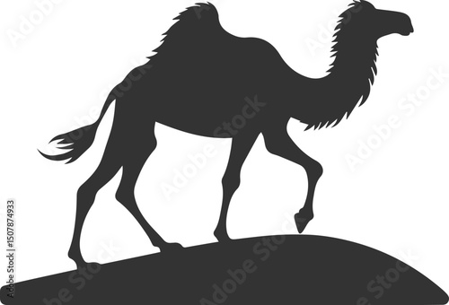 Vector black drawing of a camel animal silhouette