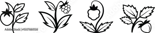 Vector Illustration Set of Cloudberry on a Plain White Background


