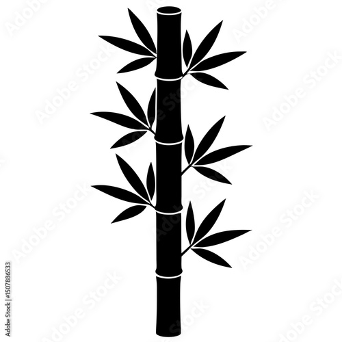 bamboo on white background