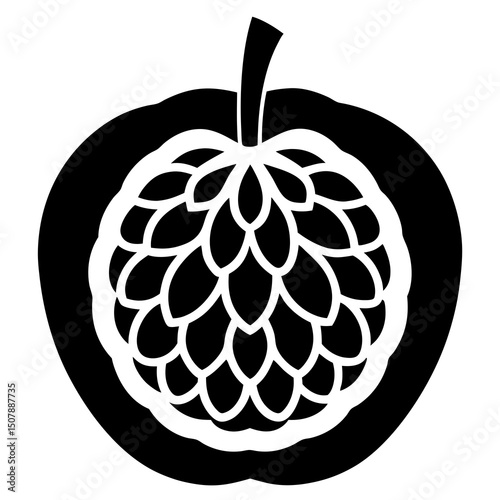 vector illustration of an orange fruit