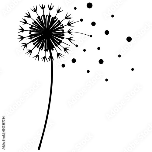 dandelion on black background