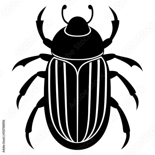 black beetle isolated on white