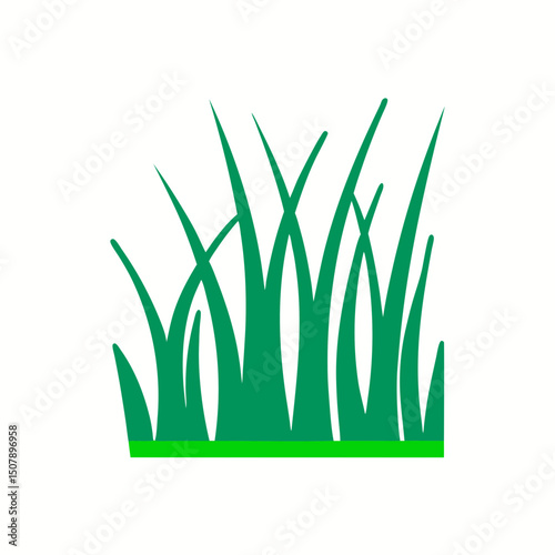 green grass isolated on white