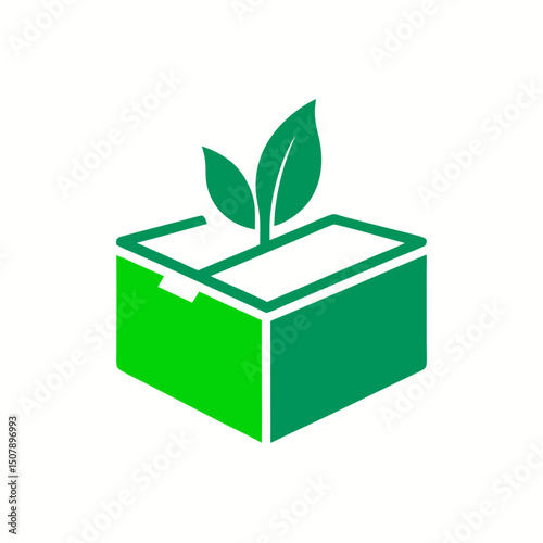 green plant in a box