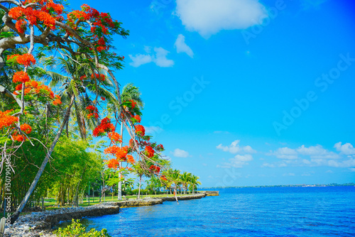 Tableau sur toile Fort Myers, Fort Myers, Florida 05 24 2025: The landscape of Fort Myers Edison a