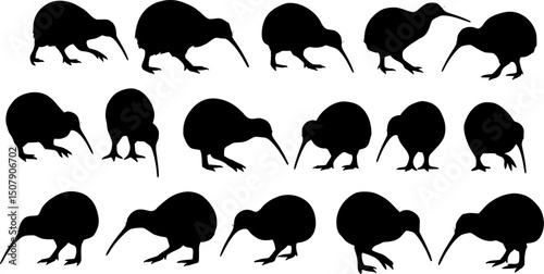 Set of kiwi bird silhouette, black and white silhouette, vector and illustration
