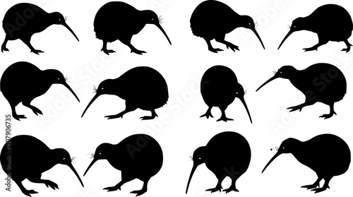 Set of kiwi bird silhouette, black and white silhouette, vector and illustration
