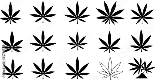 set of marijuana leaf silhouette, black and white silhouette, vector and illustration
