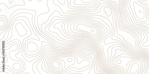 Abstract pattern with swirls Abstract White wave paper curved reliefs background.Panorama view gradient multicolor wave curve lines banner background design. Modern wave line topography 