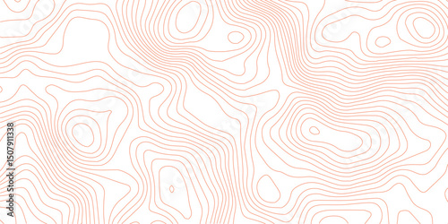 Abstract pattern with swirls Abstract White wave paper curved reliefs background.Panorama view gradient multicolor wave curve lines banner background design. Modern wave line topography 