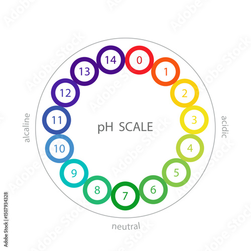 PH Scale. Acid and alkaline solution infographic. Chemical analysis or test. Vector illustration in flat style.