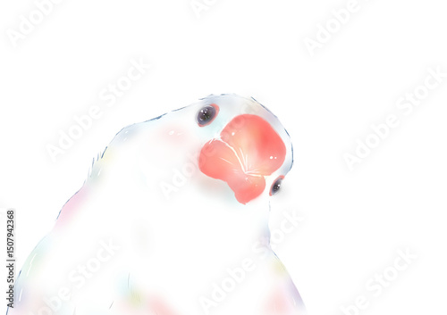 水彩画風の白文鳥のイラスト