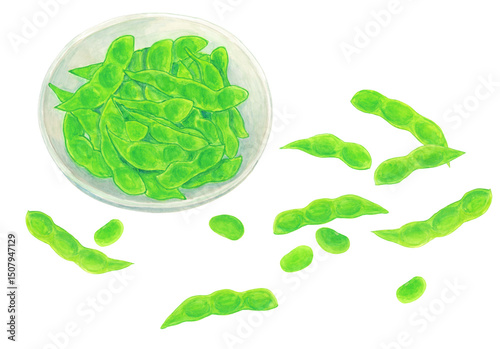 枝豆のさやと豆とお皿に盛った枝豆のアナログ水彩イラスト素材