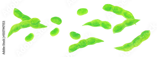 枝豆のさやと豆のアナログ水彩イラスト素材