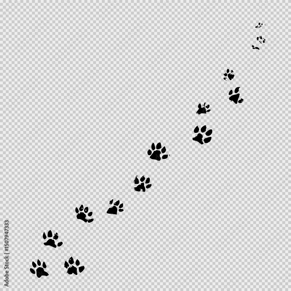 Naklejka premium Minimalist Black and White Illustration of Bear Footprints with Bold Outlines, Visible Claws, and Natural Walking Pattern, Set on a White Background with Subtle Pastel Shading for a Wild and Elegant