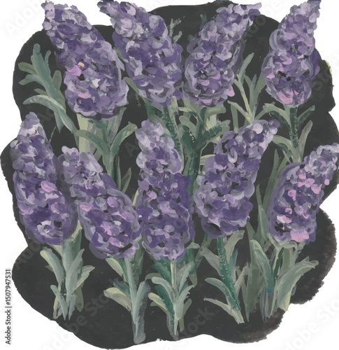 Lavender Blossoms in a Black Square watercolour art