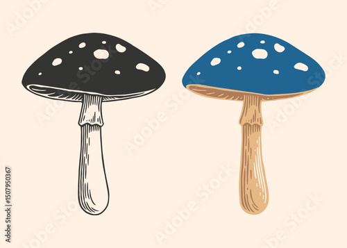 Hand Drawn Mushroom Illustration