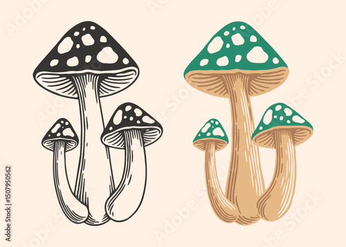 Hand Drawn Mushroom Illustration