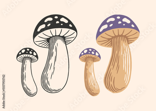 Hand Drawn Mushroom Illustration