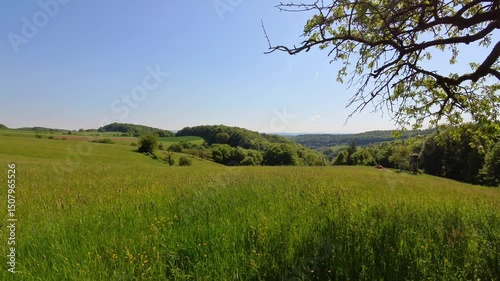 Bunte im leichten Wind wiegende Wildblumenwiese unter blauem Himmel im hügeligen Spessart – natürliche Farbenpracht und sommerliche Landschaftsaufnahme, Weitblick, Horizont, Umwelt, Gräser, Natur