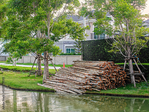 a pile of logs sitting on the side of a river
